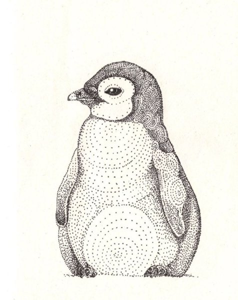 Пуантель животные