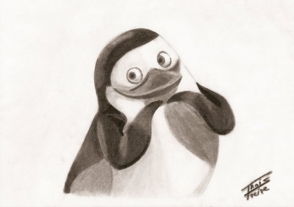 Пингвин в графике