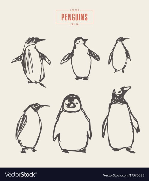 Пингвин скетч