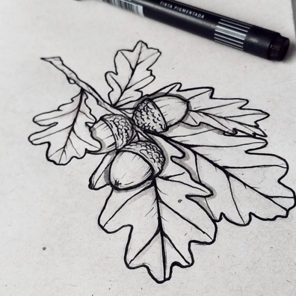 Тату дубовые листья эскизы