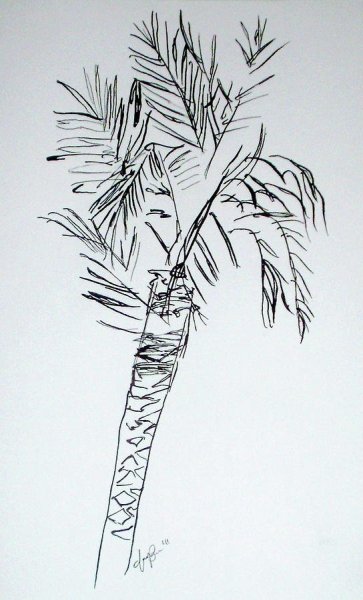 Пальма рисунок ручкой