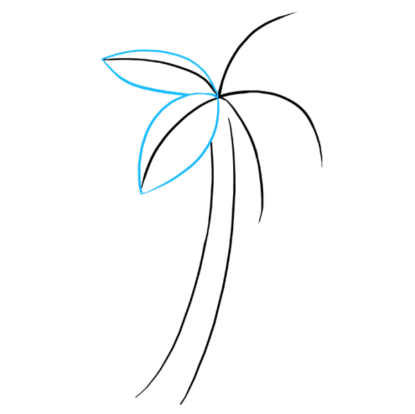 Наброска деревья Пальма