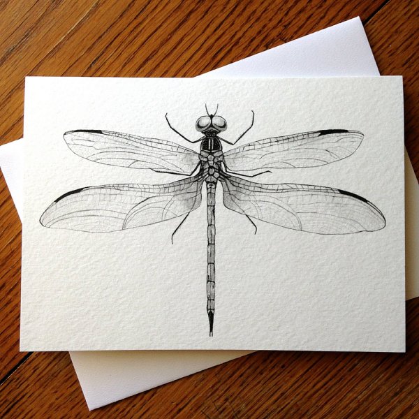 Насекомые черной ручкой