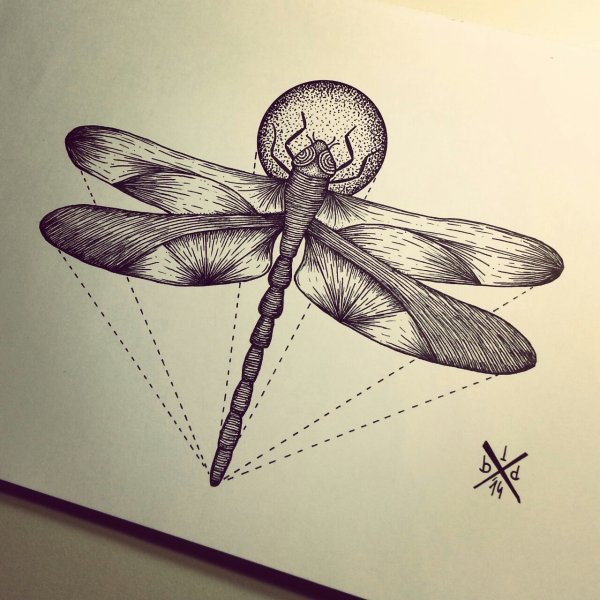 Стрекоза эскиз