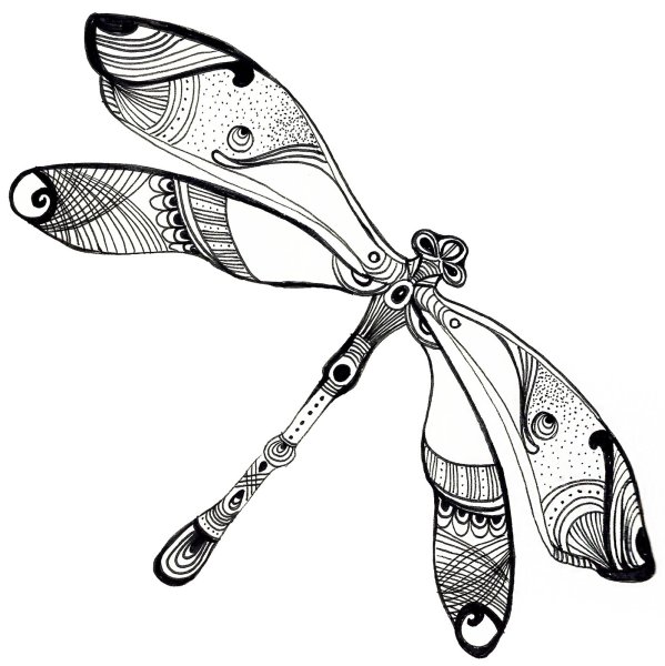 Стрекоза Графика