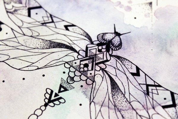 Стрекоза в графике