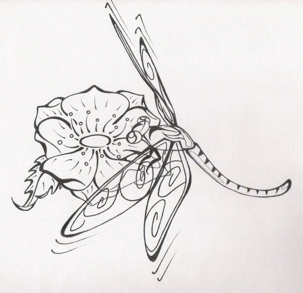 Стрекоза эскиз тату черно белая