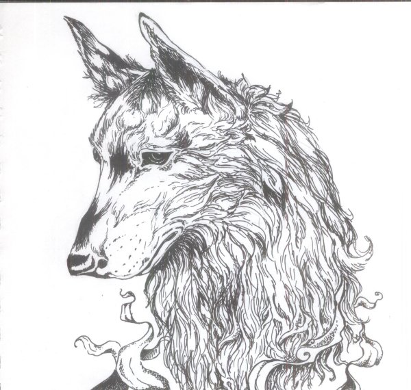 Волк гелевой ручкой