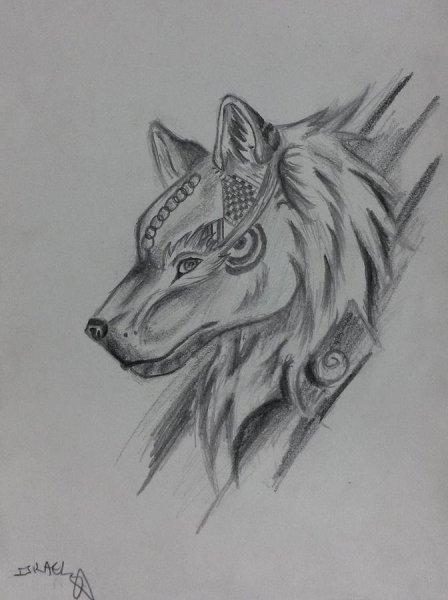 Волк зарисовка ручкой