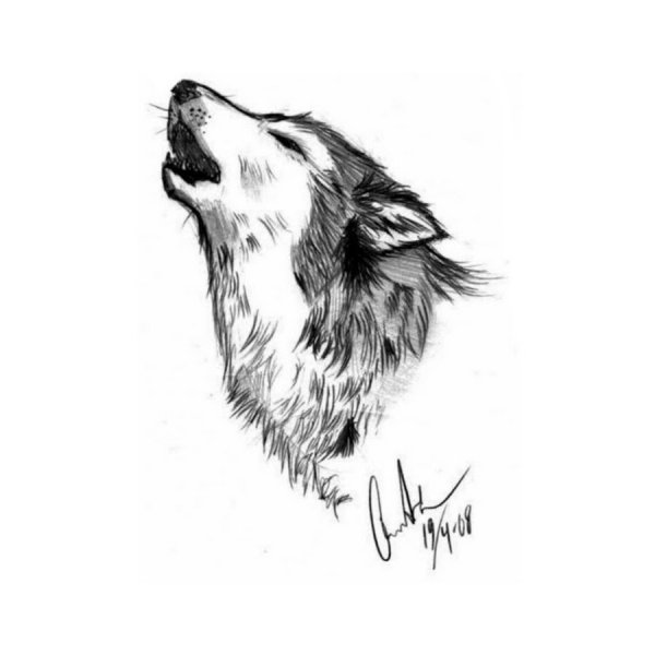 Волк черной ручкой