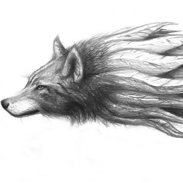 Легкие тату волка