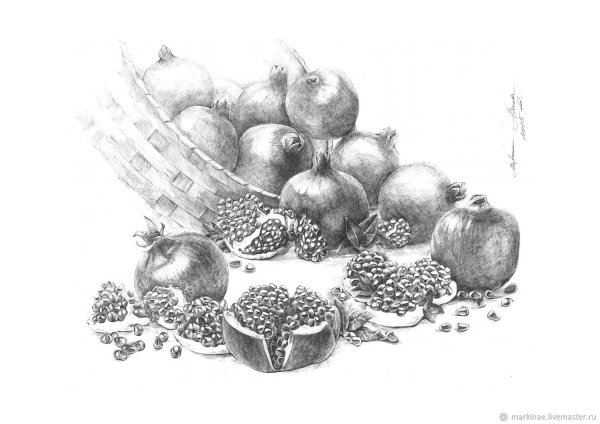 Гранат натюрморт Графика