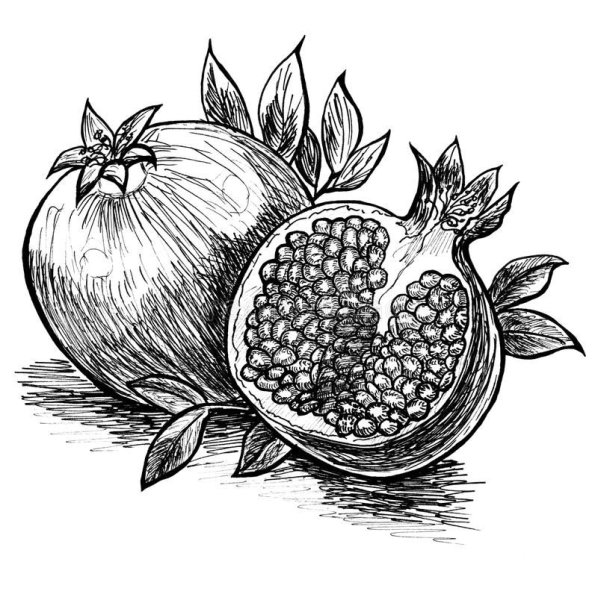 Гранат эскиз