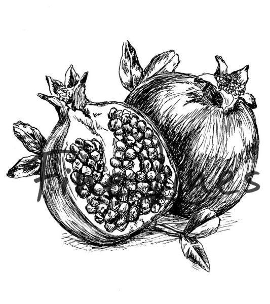 Линогравюра гранат