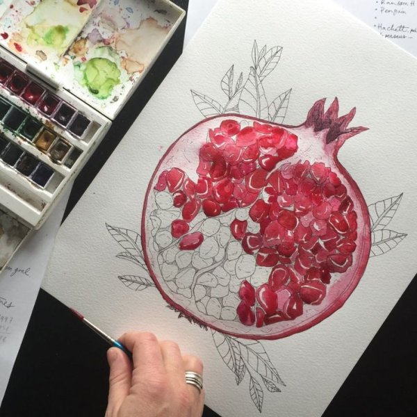 Скетчинг гранат