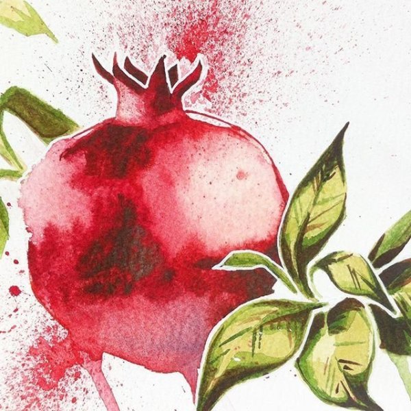 Ботаническая живопись акварелью гранат