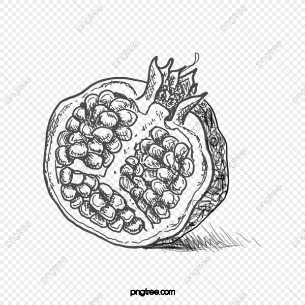 Гранат в разрезе вектор