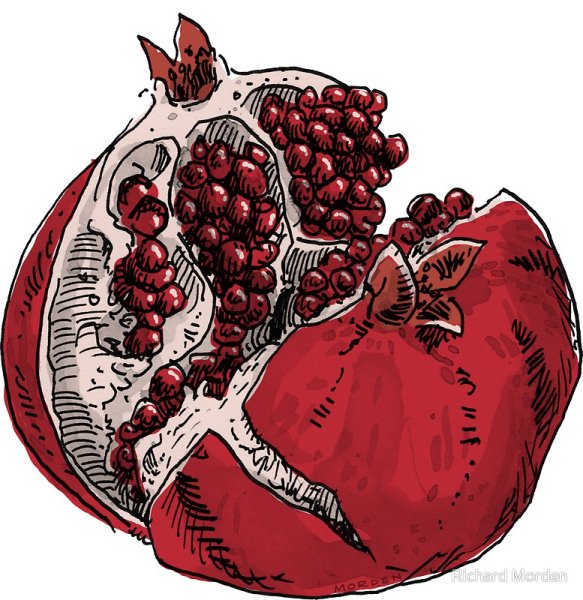 Гранат референс