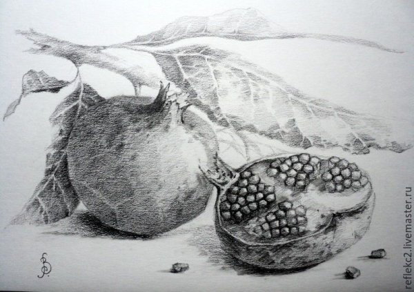 Гранат рисунок