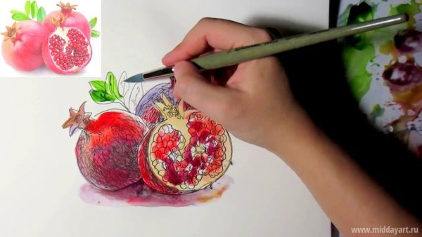 Гранат скетчинг маркерами