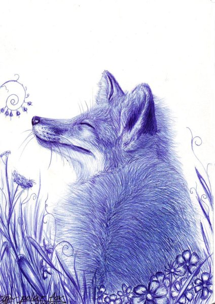 Лиса гелевой ручкой