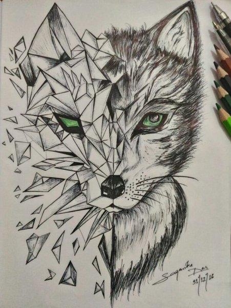 Лиса гелевой ручкой