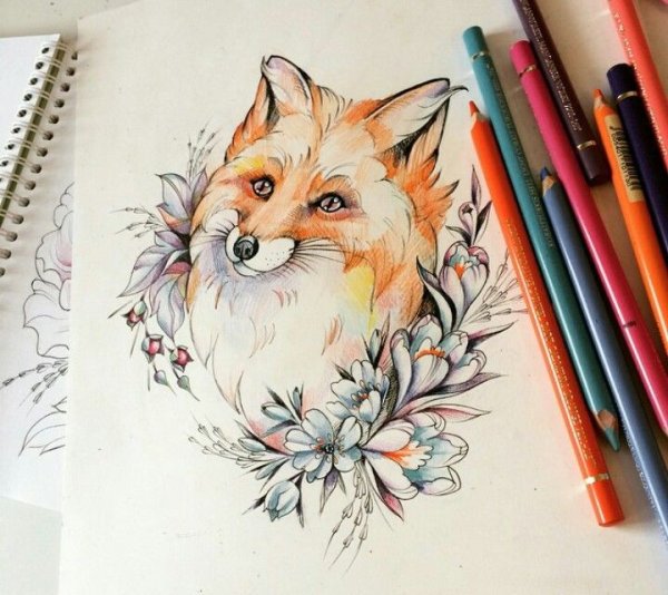 Тату лиса цветная