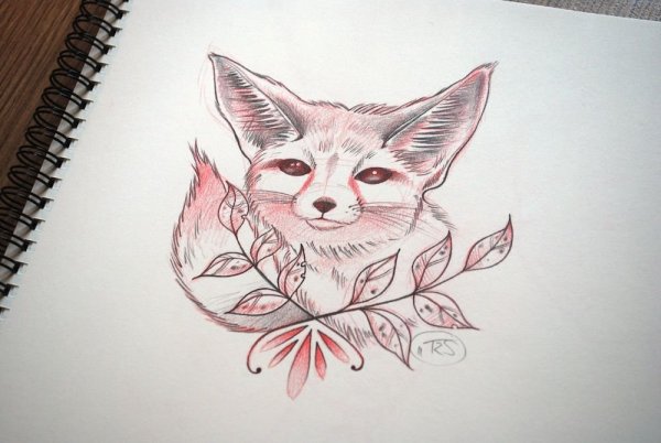 Лисичка фенек тату