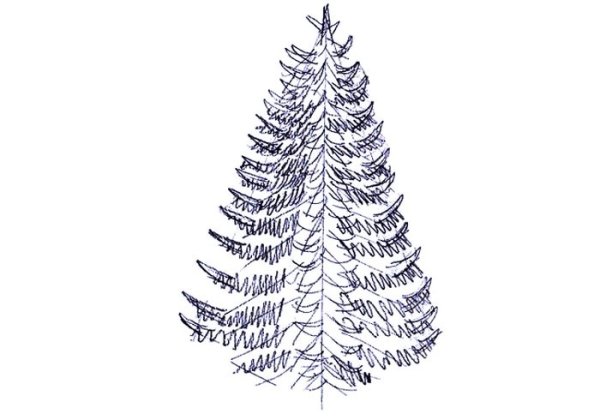 Ель карандашом
