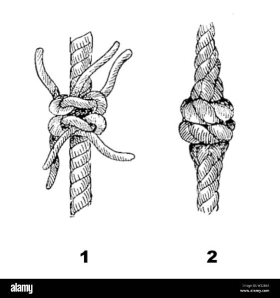Trefoil Knot how to draw