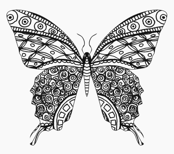 Зентангл бабочка