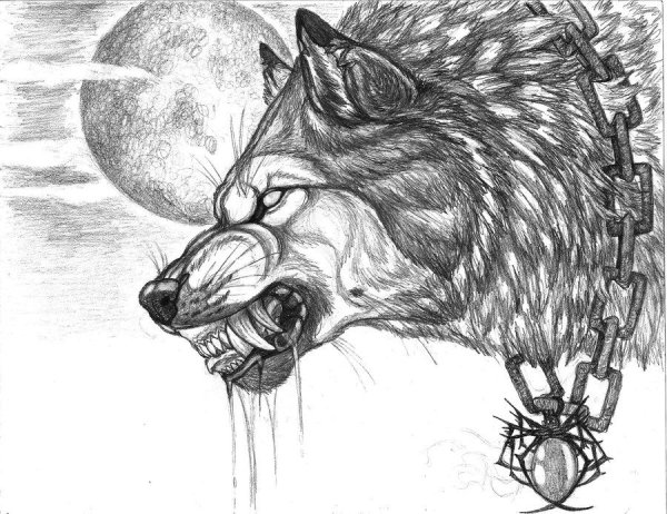 Волчий оскал карандашом