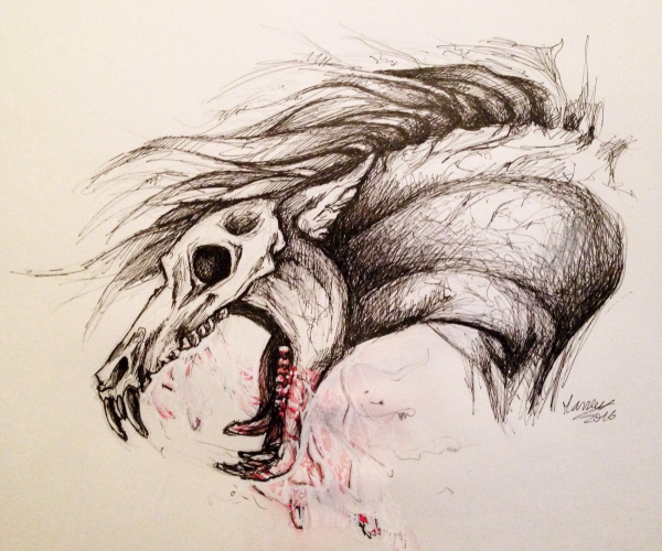 Череп лошади