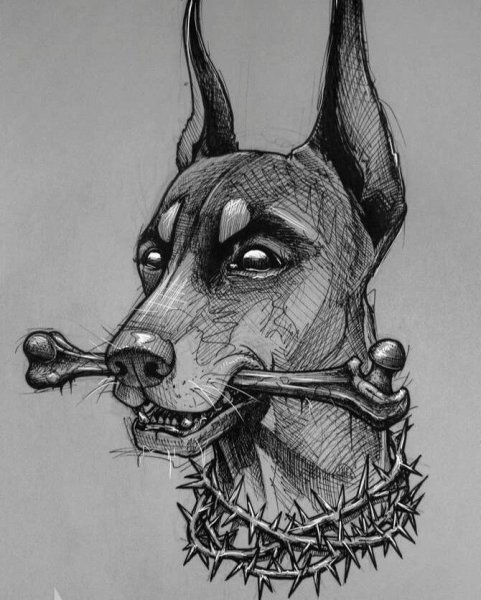 Доберман рисунок