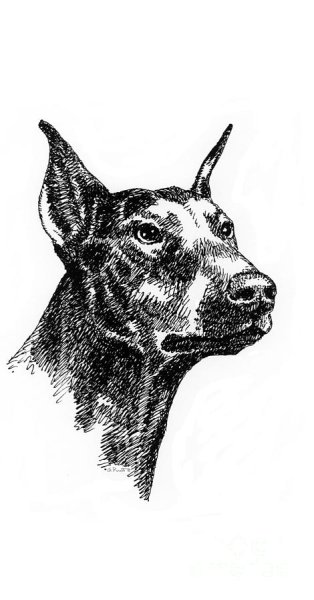 Собака гелевой ручкой