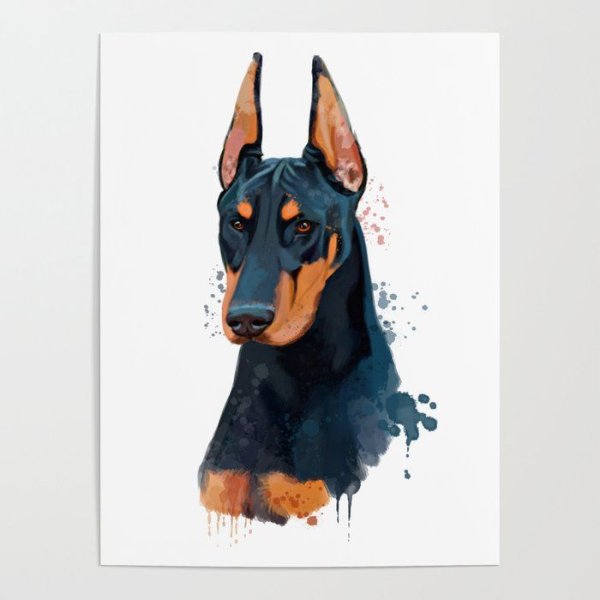 Катрин Доберман модель