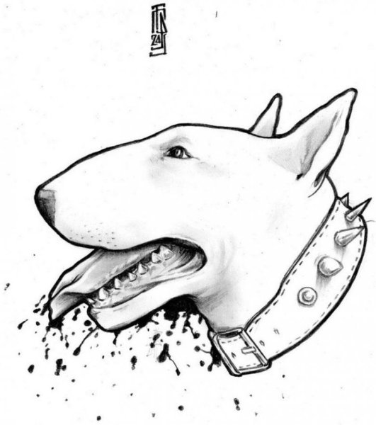 Бультерьер Олд скул