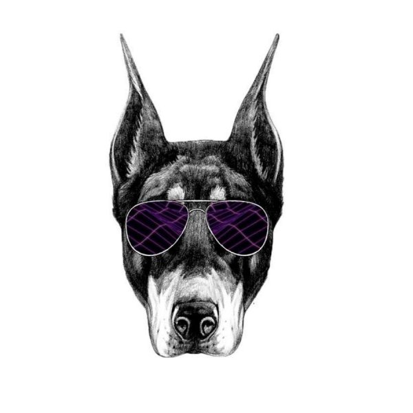 Доберман в очках арт