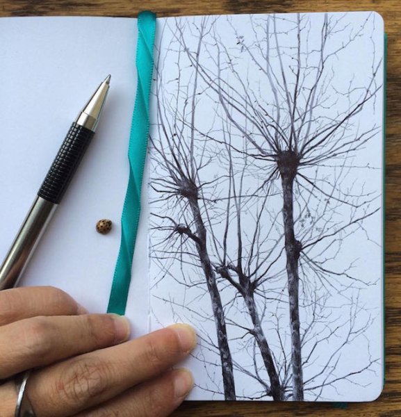 Дерево черной ручкой