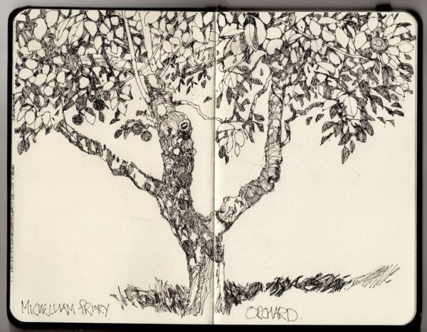 Яблоня набросок