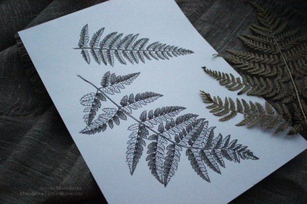Папоротник тату эскиз