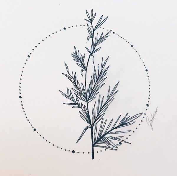 Черно-белый Постер папоротника