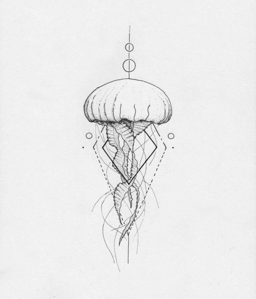 Перьевая ручка сбоку контур
