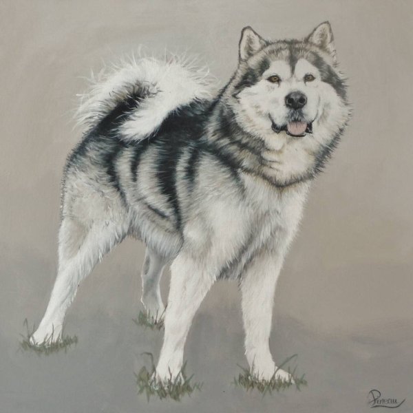 Хаски рисунок