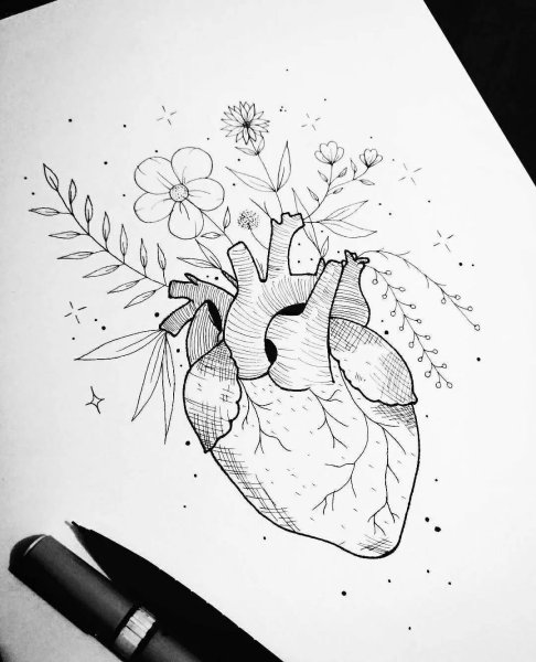 Рисунки чёрной ручкой для срисовки