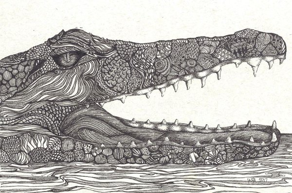 Крокодил арт