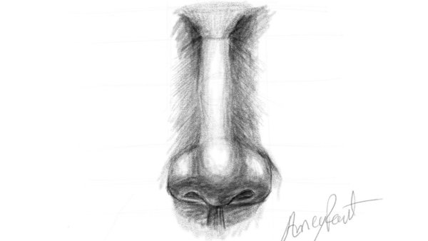 Нарисовать нос ручкой