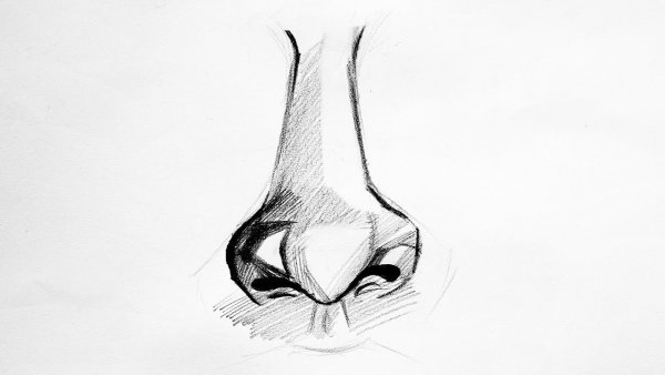 Нарисовать нос ручкой