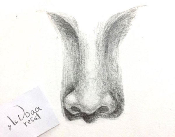 Нос для рисования прикольные