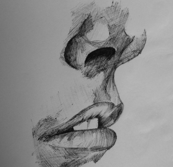 Штриховка носа карандашом